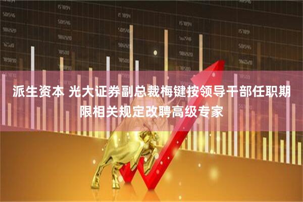 派生资本 光大证券副总裁梅键按领导干部任职期限相关规定改聘高级专家