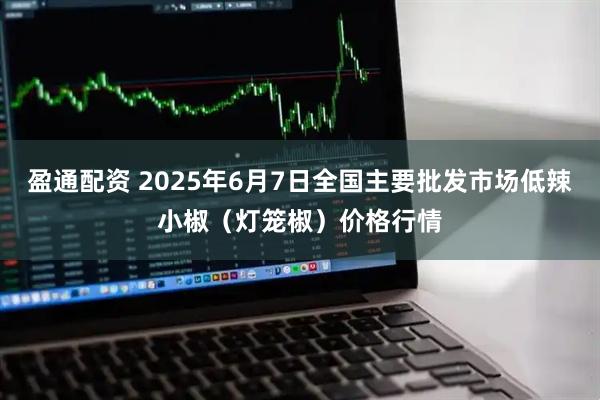 盈通配资 2025年6月7日全国主要批发市场低辣小椒（灯笼椒）价格行情