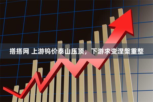 搭搭网 上游钨价泰山压顶，下游求变涅槃重整