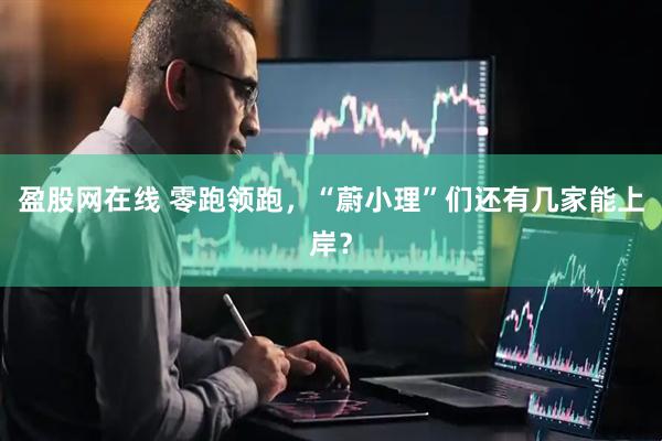 盈股网在线 零跑领跑，“蔚小理”们还有几家能上岸？