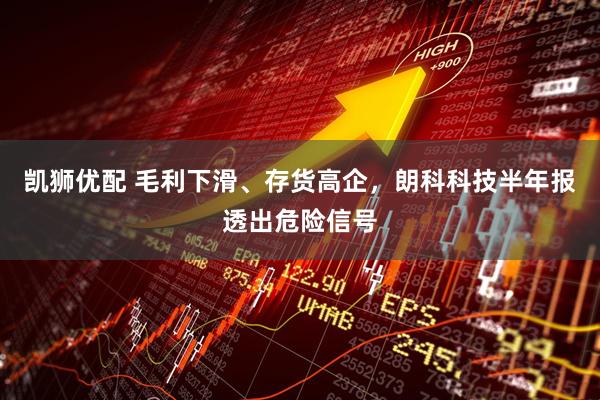凯狮优配 毛利下滑、存货高企，朗科科技半年报透出危险信号