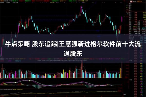 牛点策略 股东追踪|王慧强新进格尔软件前十大流通股东